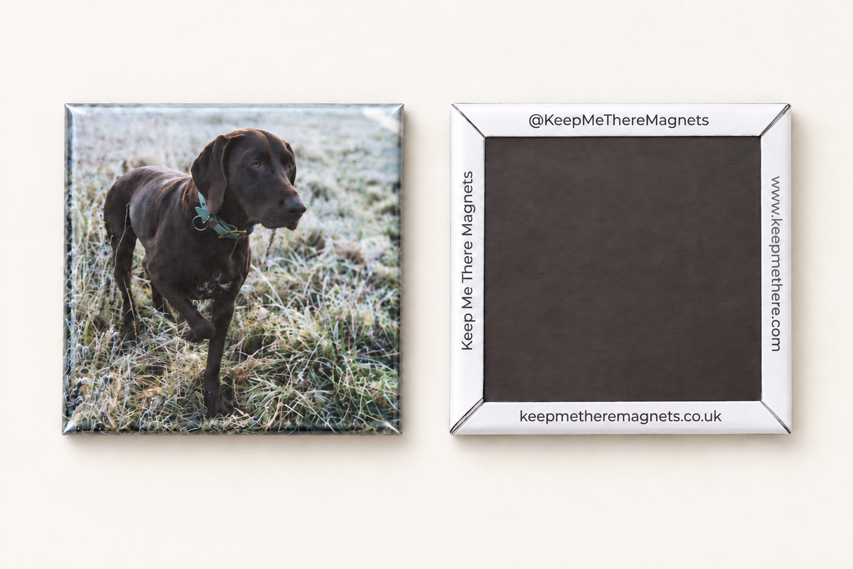 50mm x 50mm Photo Magnet 5-Pack